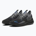 Bėgimo batai PUMA Softride Symmetry Fuzion puma black/cool dark gray/puma team royal