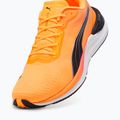 Vyriški bėgimo batai PUMA Electrify Nitro 3 Fade sun stream/sunset glow/puma white 12