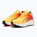 Vyriški bėgimo batai PUMA ForeverRun Nitro Fade sun stream/sunset glow/puma white 8