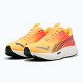 Vyriški bėgimo bateliai PUMA Velocity Nitro 3 Fade sun stream/sunset glow/white 8