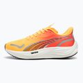 Vyriški bėgimo bateliai PUMA Velocity Nitro 3 Fade sun stream/sunset glow/white 10