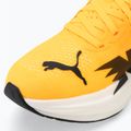 Vyriški bėgimo batai PUMA Deviate Nitro 3 Fade sun stream/sunset glow/puma white 7