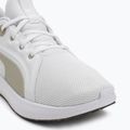 Bėgimo batai PUMA Softride Carson puma white/desert dust 7