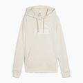 Moteriškas džemperis PUMA ESS No. 1 Logo Hoodie TR alpine snow