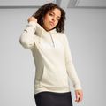 Moteriškas džemperis PUMA ESS No. 1 Logo Hoodie TR alpine snow 3