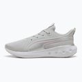 Bėgimo batai PUMA Softride Carson cool light gray/rose mauve/puma silver