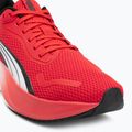Bėgimo batai PUMA Pounce Lite for all time red/puma white 7