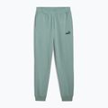 Vyriški šortai PUMA ESS No. 1 Logo Sweatpants TR CL green moon