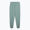 Vyriški šortai PUMA ESS No. 1 Logo Sweatpants TR CL green moon 2