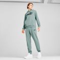 Vyriški šortai PUMA ESS No. 1 Logo Sweatpants TR CL green moon 3