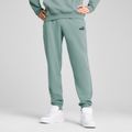 Vyriški šortai PUMA ESS No. 1 Logo Sweatpants TR CL green moon 4
