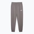 Vyriški šortai PUMA ESS No. 1 Logo Sweatpants TR CL cast iron