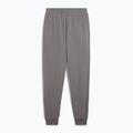Vyriški šortai PUMA ESS No. 1 Logo Sweatpants TR CL cast iron 2