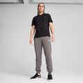 Vyriški šortai PUMA ESS No. 1 Logo Sweatpants TR CL cast iron 3