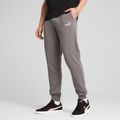 Vyriški šortai PUMA ESS No. 1 Logo Sweatpants TR CL cast iron 4
