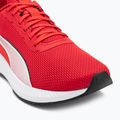 Bėgimo batai PUMA Flyer Lite 3 puma black/for all time red 7