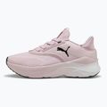 Moteriški bėgimo batai PUMA Softride Mayve rose mauve/puma black/sun struck