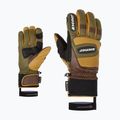 Vyriškos slidinėjimo pirštinės ZIENER Guard GTX + Gore Grip PR alpine dark/brown