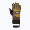 Vyriškos slidinėjimo pirštinės ZIENER Guard GTX + Gore Grip PR alpine dark/brown 2