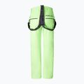 Vyriškos slidinėjimo kelnės BOGNER FIRE+ICE Scott 3 vibrant lime 2