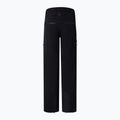 Vyriškos slidinėjimo kelnės BOGNER FIRE+ICE Nic-T black 2