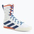 Bokso bateliai adidas Box Hog 4 white/navy