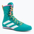 Bokso bateliai adidas Box Hog 4 turquoise