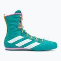 Bokso bateliai adidas Box Hog 4 turquoise 2