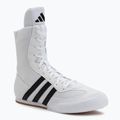 Bokso batai adidas Box Hog II white/black