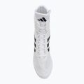 Bokso batai adidas Box Hog II white/black 5