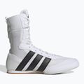 Bokso bateliai adidas Box Hog Classic white 2