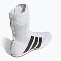 Bokso bateliai adidas Box Hog Classic white 4