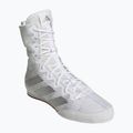 Bokso bateliai adidas Box Hog 4 white/silver
