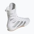Bokso bateliai adidas Box Hog 4 white/silver 2