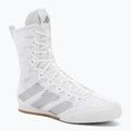Bokso bateliai adidas Box Hog 4 white/silver