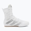 Bokso bateliai adidas Box Hog 4 white/silver 2