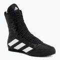 Bokso bateliai adidas Box Hog 4 black/white