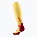 Moteriškos kompresinės kojinės CEP Run Tall 5.0 marigold/burgundy 3