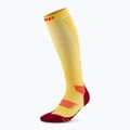 Vyriškos kompresinės kojinės CEP Run Tall 5.0 marigold/burgundy 2