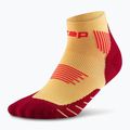 Vyriškos kompresinės kojinės CEP Run Low Cut 5.0 marigold/burgundy 2