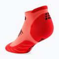 Vyriškos kompresinės kojinės Cep Run No Show 5.0 neon coral 3