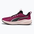Moteriški bėgimo batai PUMA Skyrocket Lite Trail berry/puma black/jasmine flower