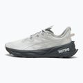 Vyriški bėgimo batai PUMA Fast-Trac Nitro 3 GTX dusky gray/gray echo
