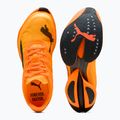 Vyriški PUMA Fast-R Nitro Elite 3 heat fire / sun stream bėgimo bateliai 6