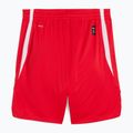Vyriški krepšinio šortai PUMA teamJAWS Starter for all time red 2