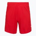 Vyriški krepšinio šortai PUMA teamJAWS Starter for all time red