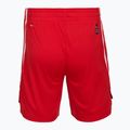 Vyriški krepšinio šortai PUMA teamJAWS Starter for all time red 2