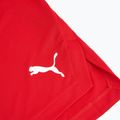Vyriški krepšinio šortai PUMA teamJAWS Starter for all time red 5