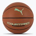 PUMA teamJAWS Court Pro Krepšinio krepšinio odinis rudas/tamsus šešėlis dydis 7