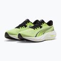 Bėgimo batai Puma Electrify Nitro 5 sunny lime/puma black 2